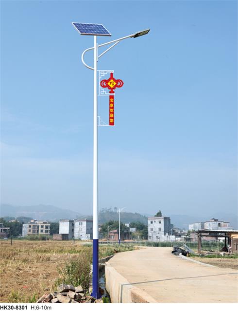 新農(nóng)村太陽(yáng)能路燈